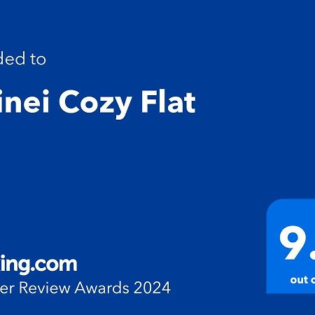 Ferienwohnung Doinei Cozy Flat Timişoara Exterior foto